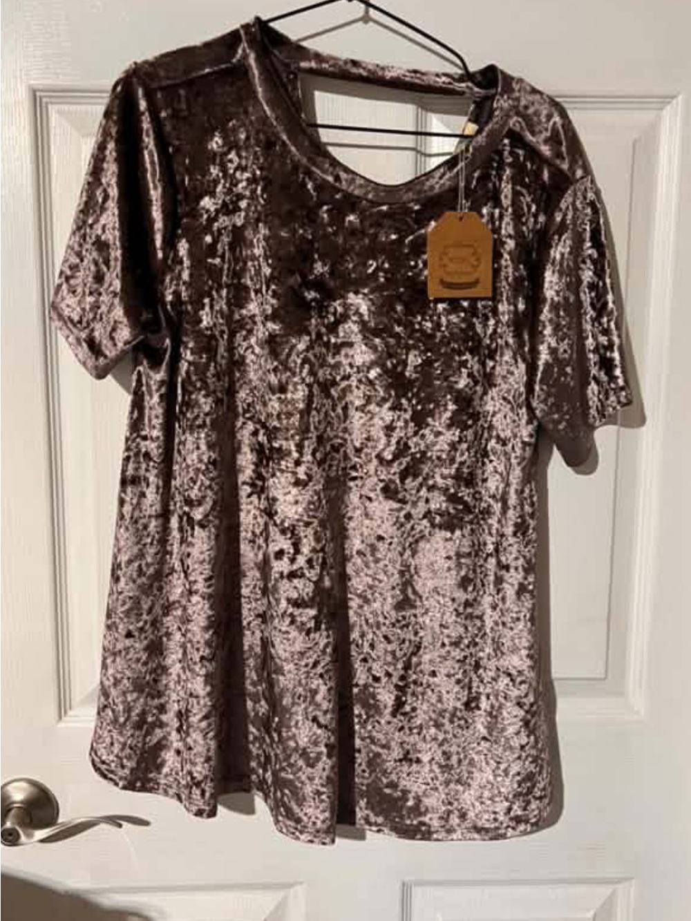 Kori Crushed Velvet Short Sleeve Tunic - Taupe